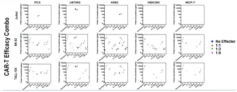 CAR-T Efficacy Combo